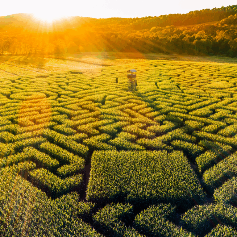 Führung bei Unsicherheit: ein Labyrinth